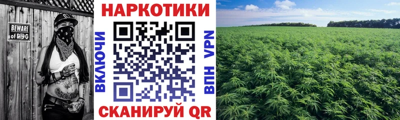 Как найти наркотики Буй АМФЕТАМИН ЭКСТАЗИ СОЛЬ ГАШ