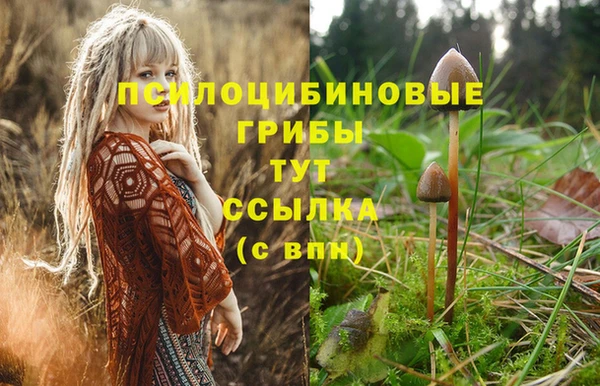 мяу мяу кристалл Михайловск