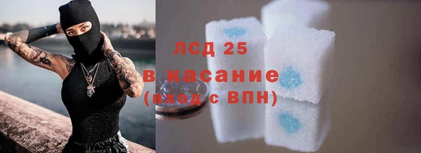 ПСИЛОЦИБИНОВЫЕ ГРИБЫ Богородицк