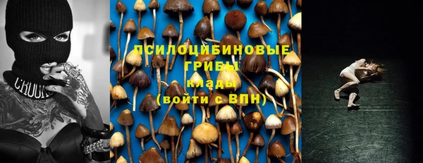 мдма Богданович